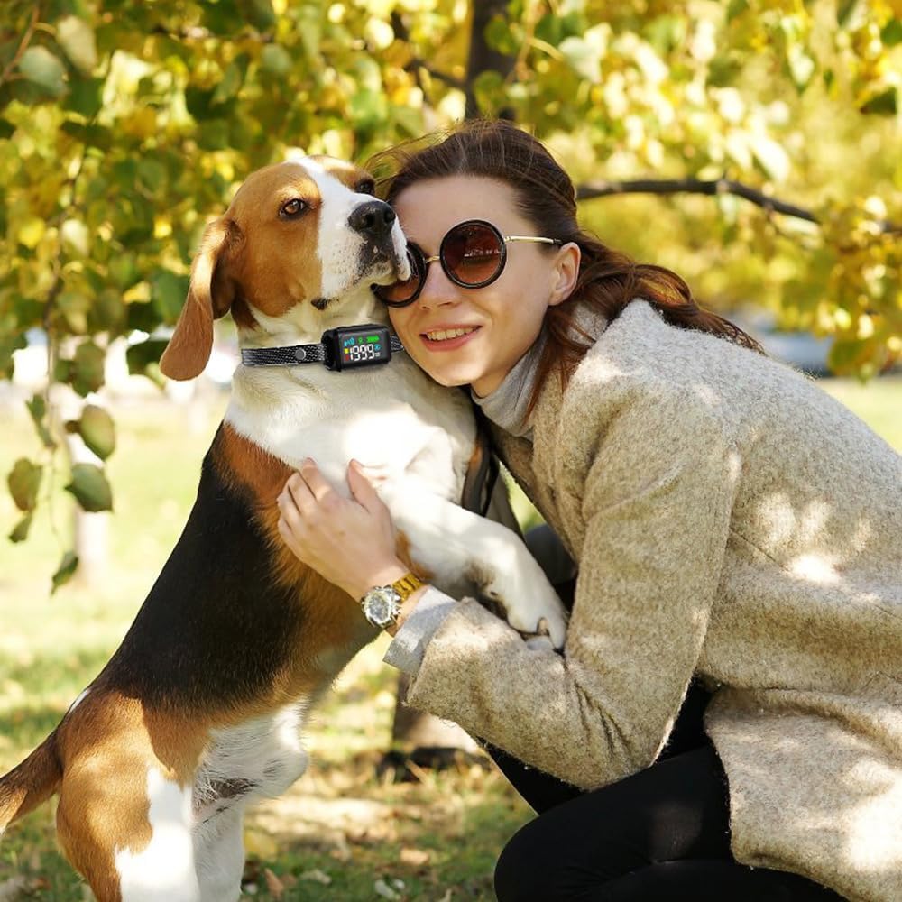GPS Electric Wireless Dog Fence System
