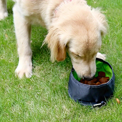 Portable Collapsible Pet Water & Food Feeder Bowl