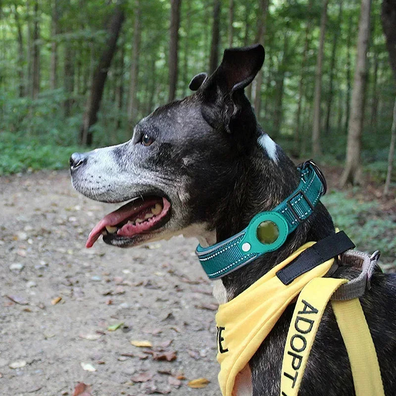 Anti-Lost Reflective Dog Collar