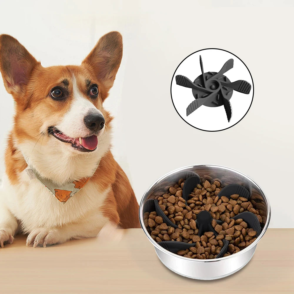 Dog Bowl Slow Feeder